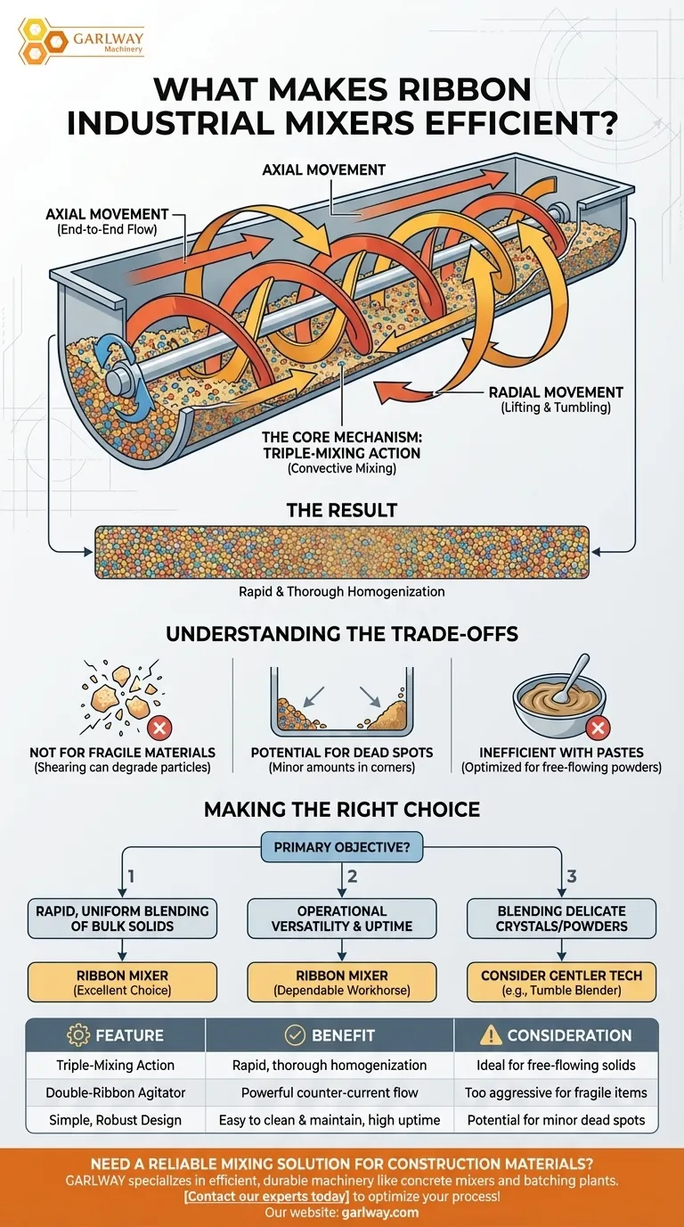리본 산업용 믹서가 효율적인 이유는 무엇인가요? 탁월한 혼합을 위한 트리플 믹싱 액션을 알아보세요. 시각적 가이드