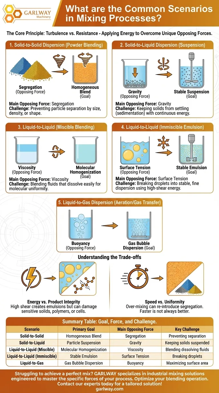 혼합 공정의 일반적인 시나리오는 무엇인가요? 완벽한 혼합을 위한 힘을 마스터하세요 시각적 가이드