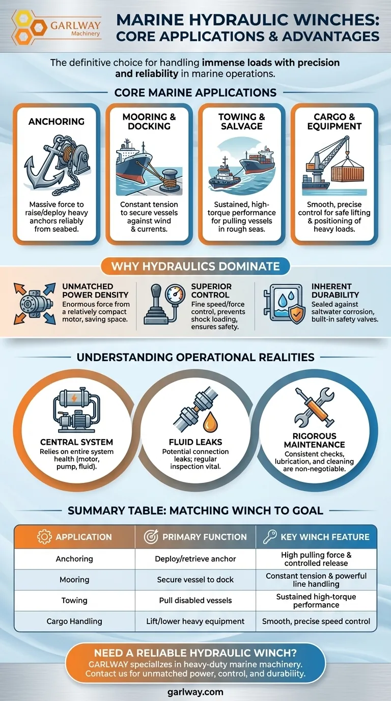 ما هي التطبيقات الشائعة للرافعات الهيدروليكية البحرية؟ استخدامات أساسية للعمليات البحرية الشاقة دليل مرئي