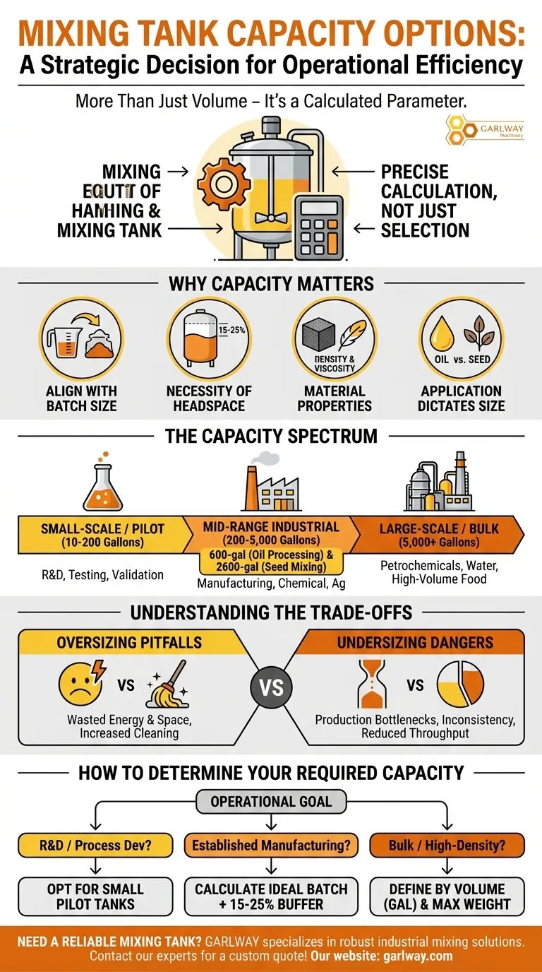 Quelles sont les options de capacité disponibles pour les cuves de mélange ? De 10 à 10 000+ gallons pour toute application Guide Visuel