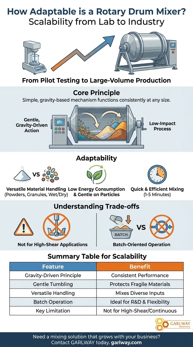 Насколько роторный барабанный смеситель адаптируется к различным масштабам производства? Руководство по масштабируемым решениям для смешивания Визуальное руководство