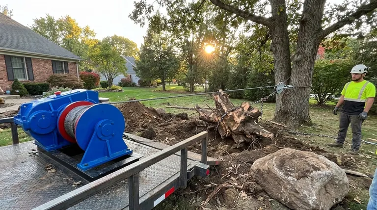 조경 목적으로 윈치를 어떻게 사용할 수 있습니까? 그루터기 및 바위 제거를 위한 제어된 힘 가이드