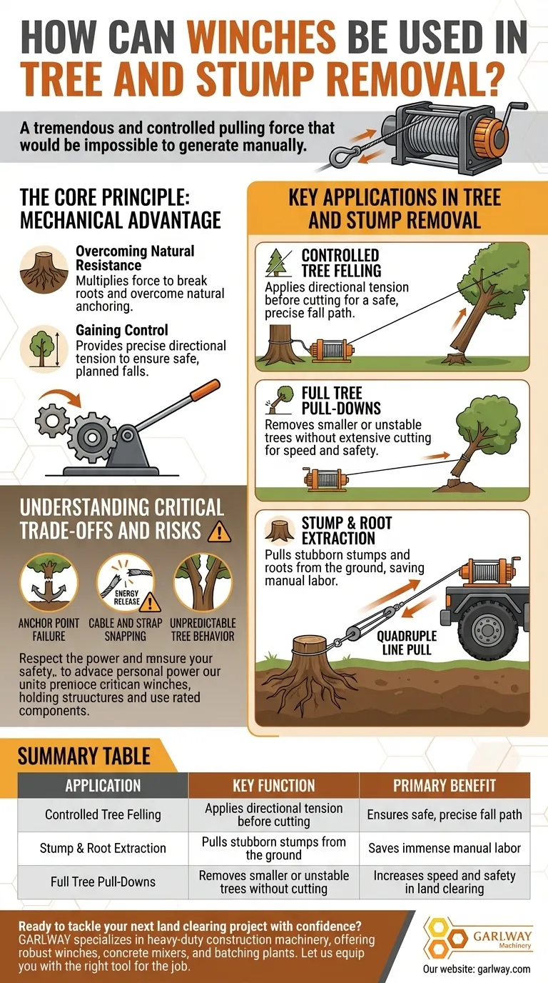 Comment les treuils peuvent-ils être utilisés pour l'enlèvement d'arbres et de souches ? Un guide pour une extraction contrôlée et sûre Guide Visuel