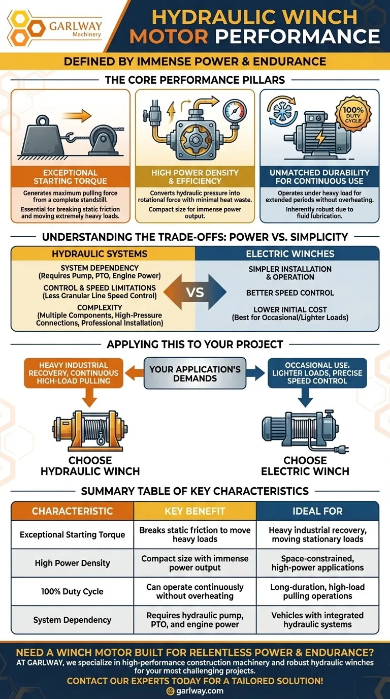 Quais são as características de desempenho dos motores de guincho hidráulico? Potência, Resistência e Confiabilidade para Tarefas Pesadas Guia Visual