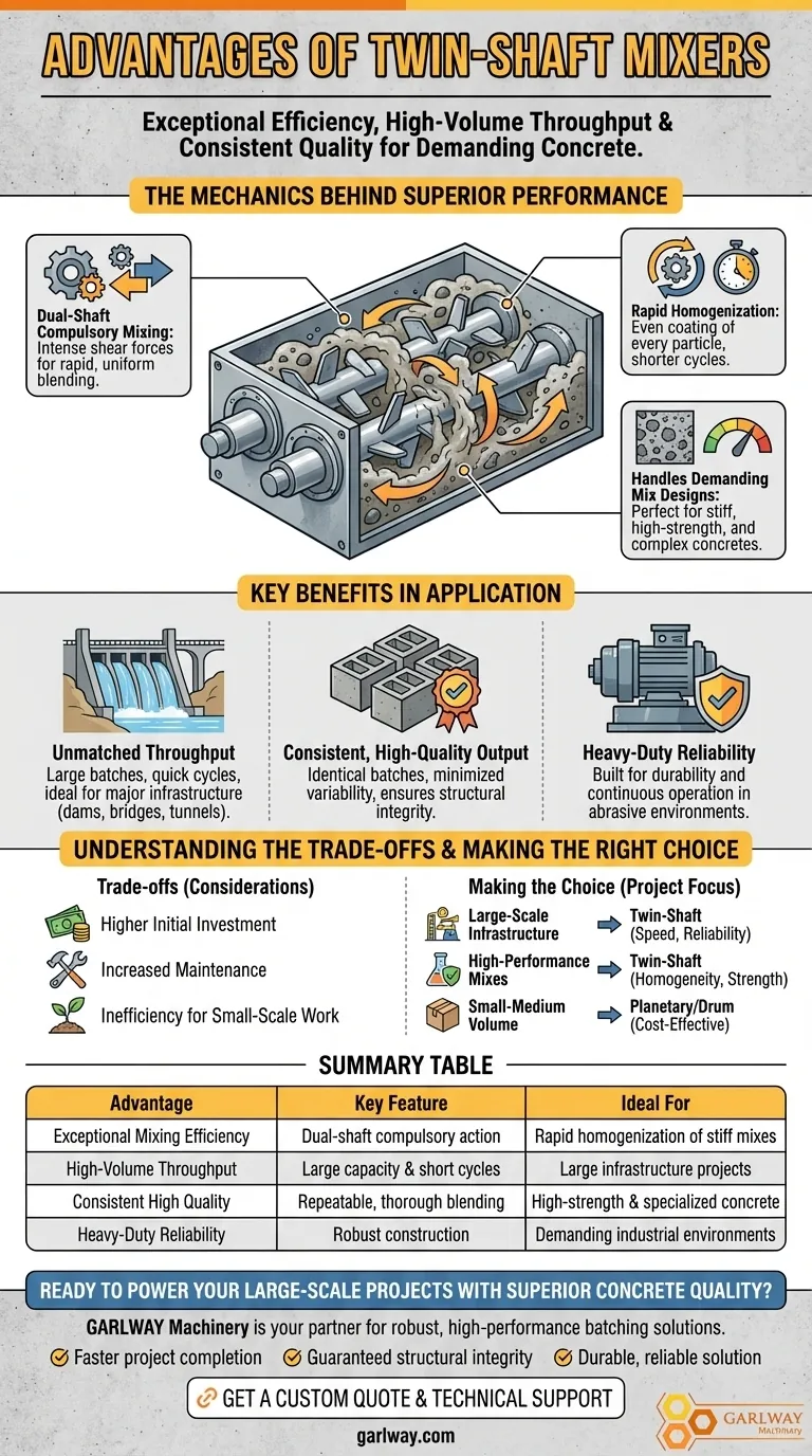 ¿Cuáles son las ventajas de las mezcladoras de doble eje? Logre una eficiencia y calidad de mezcla inigualables Guía Visual